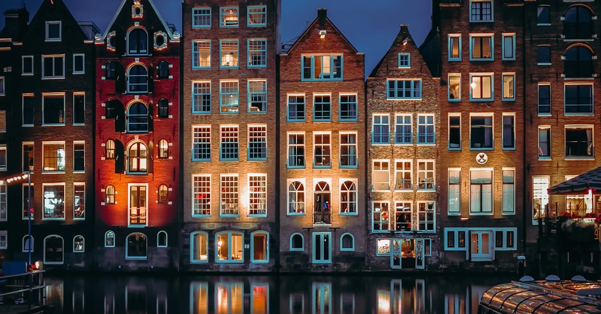 Classroom Dynamics: What to Expect in Beginner Dutch Classes