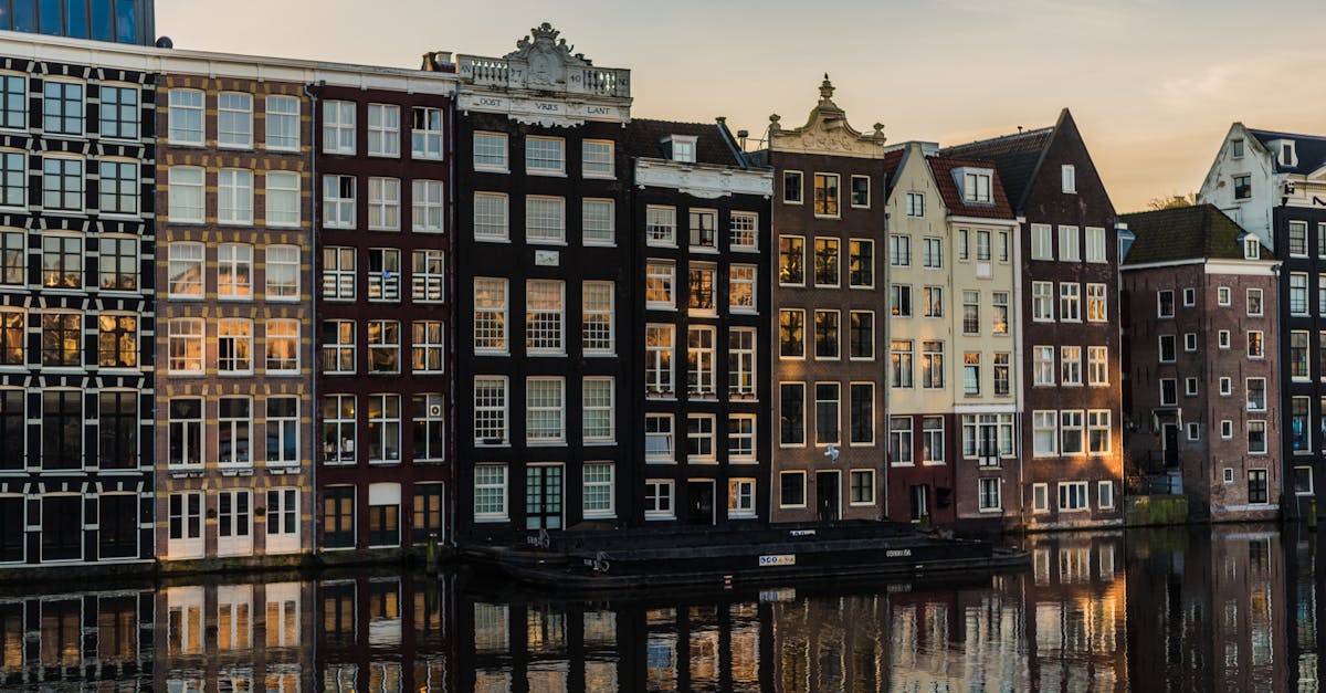 Dutch Language Skills for Marketing and Sales Experts