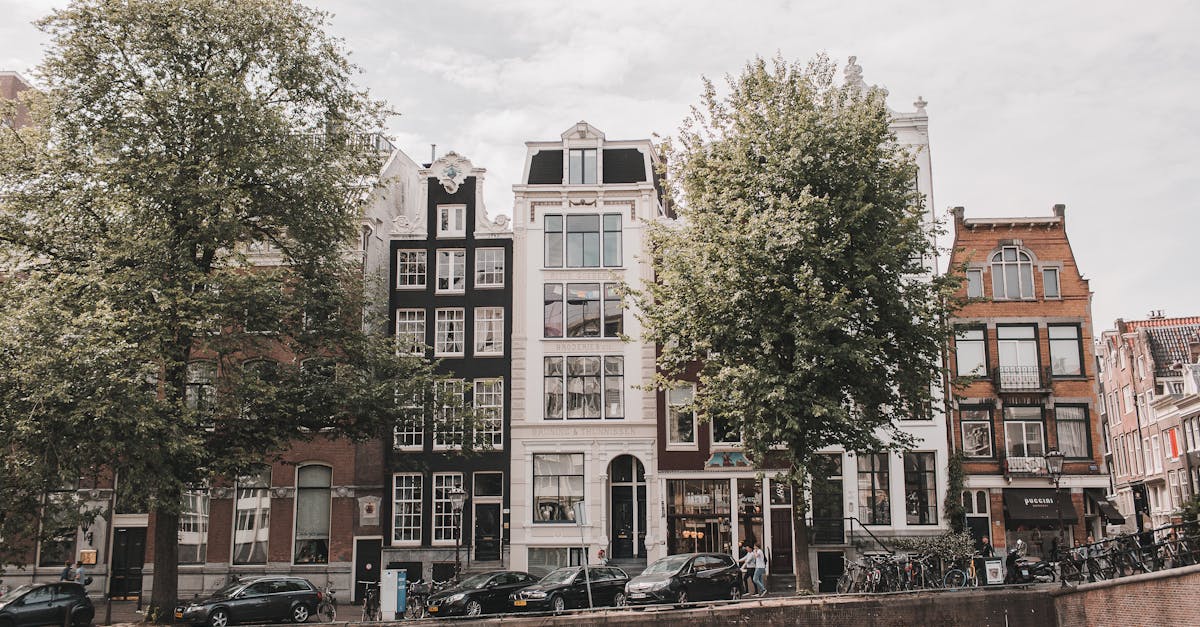 Experiencing the Magic of Dutch Midsummer Festivals in Utrecht