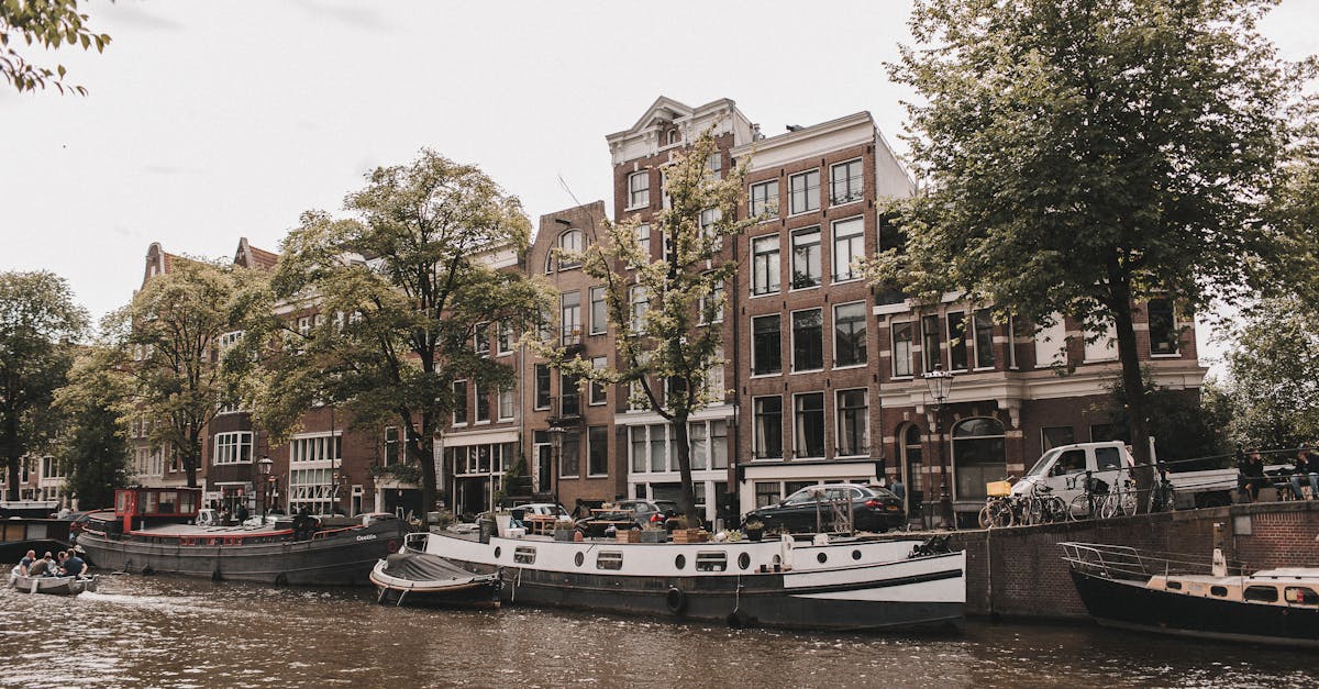 Incorporating Dutch Media into Your Learning