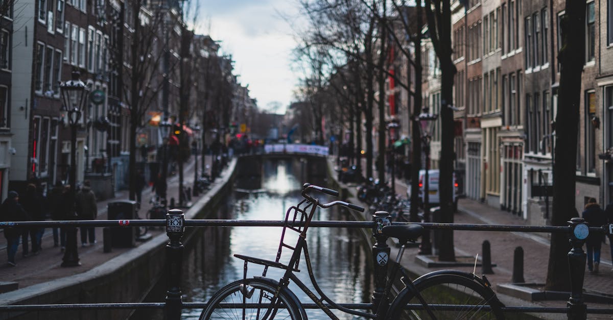 Integrating Technology into Your Advanced Dutch Learning Journey