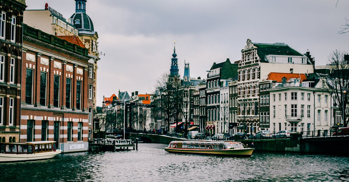 Learning Dutch for Project Management Success
