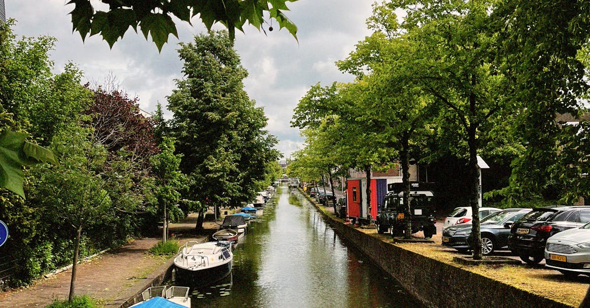 Mastering Business Communication in Dutch for Professionals