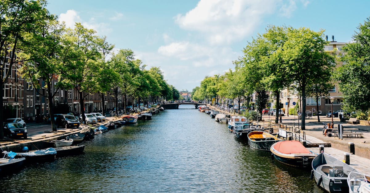 Mastering Dutch for the Tech Industry