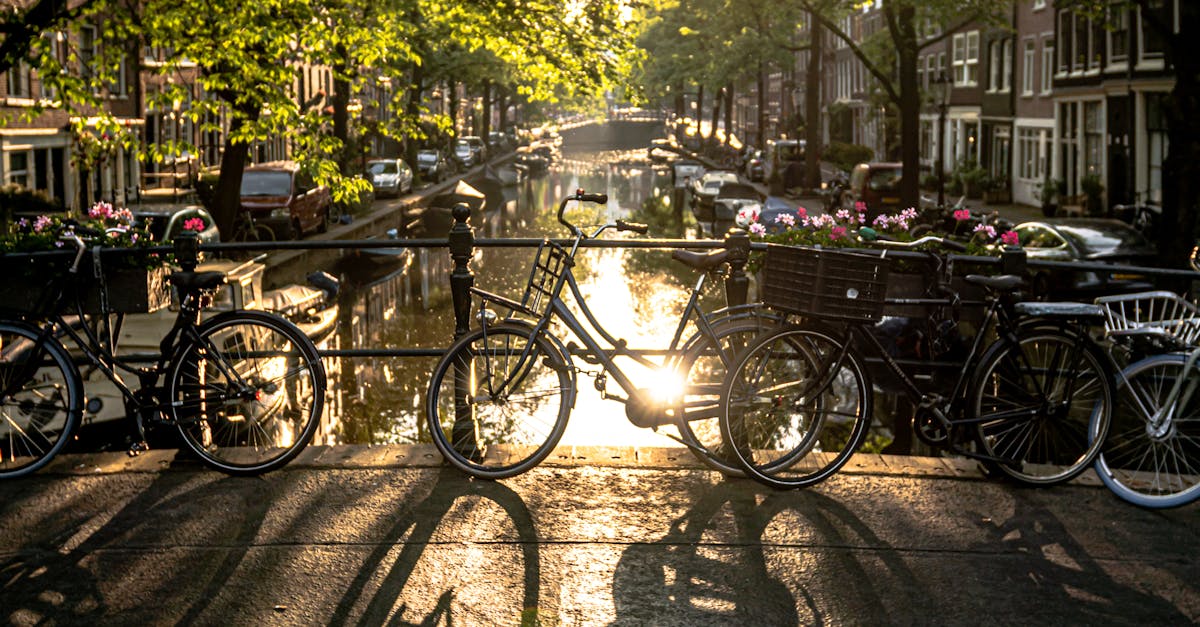 Strategies for Effective Listening in Advanced Dutch Conversational Settings