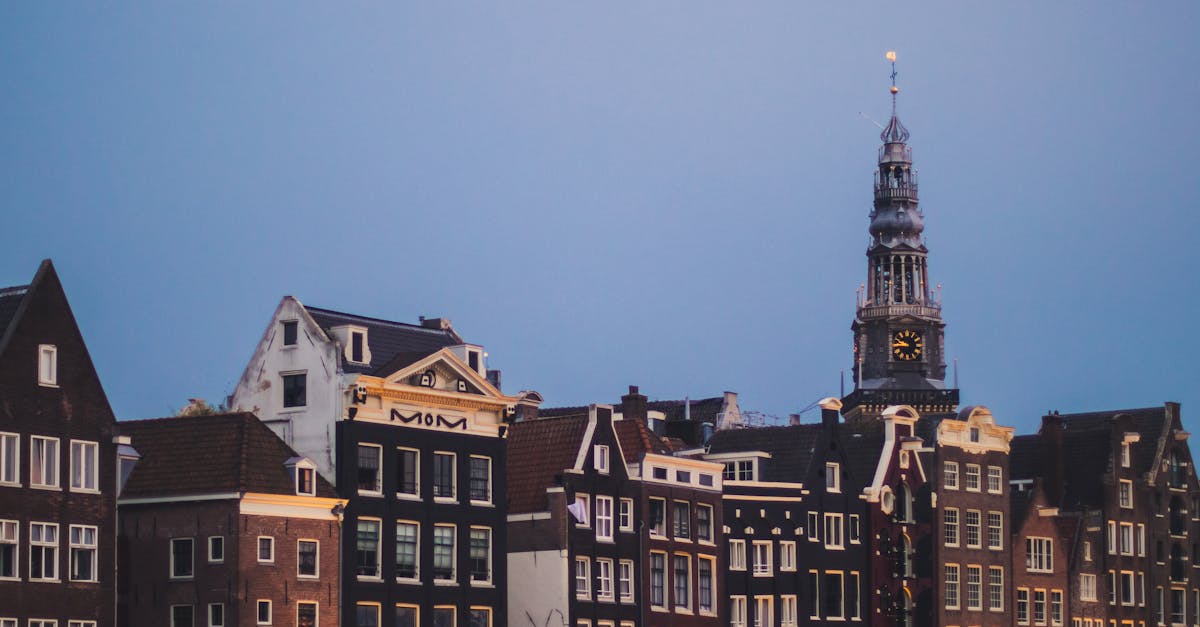 Tailored Dutch Courses for NGO and Non-Profit Workers