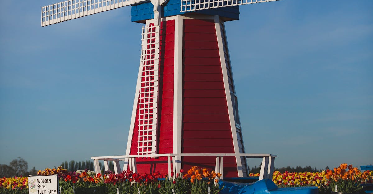 Tailored Dutch Language Classes for Teens in Utrecht